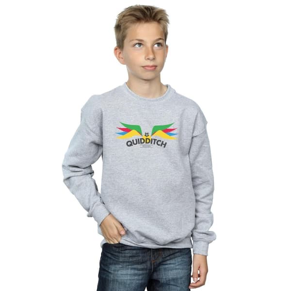 Harry Potter Boys Snitch Wings Pastels Sweatshirt