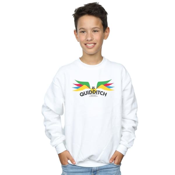 Harry Potter Boys Snitch Wings Pastels Sweatshirt