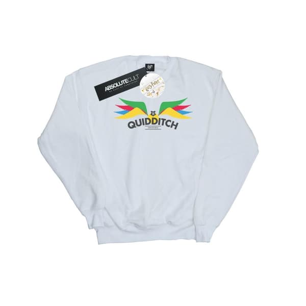 Harry Potter Boys Snitch Wings Pastels Sweatshirt