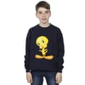 Miniatyrbillede 2 af 3: Looney Tunes Boys Tweety Standing Sweatshirt