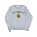 Miniatyrbillede 1 af 3: Harry Potter Mens Hufflepuff Crest Sweatshirt