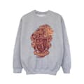 Miniatyrbilde 1 av 3: Harry Potter Girls Gryffindor Sketch Crest Sweatshirt