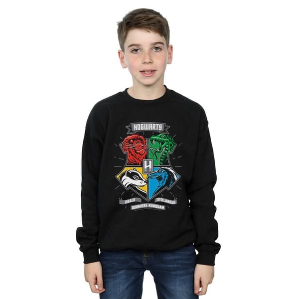 Harry Potter Boys Hogwarts Toon Crest Sweatshirt