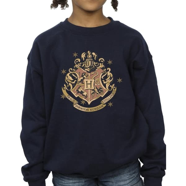 Harry Potter Girls Gold Hogwart Crest Sweatshirt