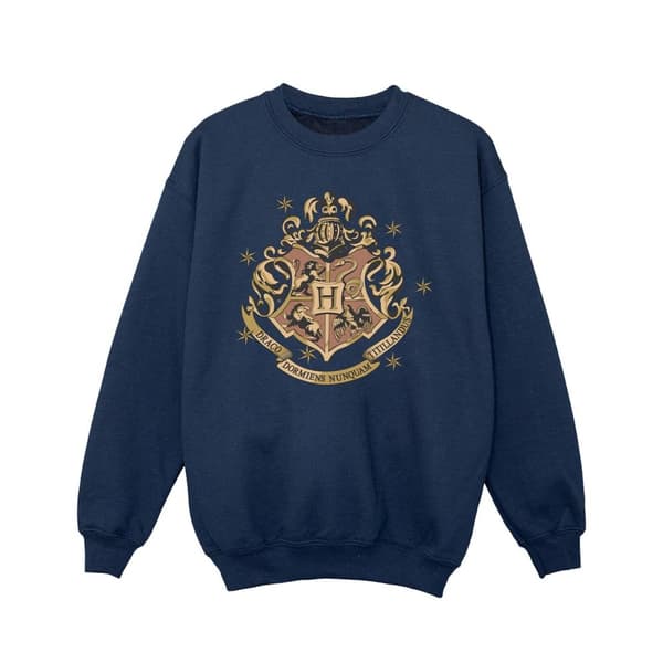 Harry Potter Girls Gold Hogwart Crest Sweatshirt