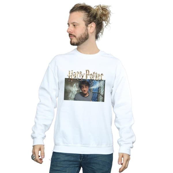 Harry Potter Mens Steam Ears Sweatshirt