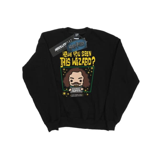 Harry Potter Boys Sirius Black Azkaban Junior Sweatshirt Black 12-13 Years