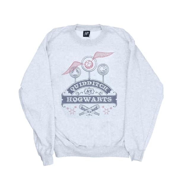 Harry Potter Womens/Ladies Quidditch At Hogwarts Sweatshirt