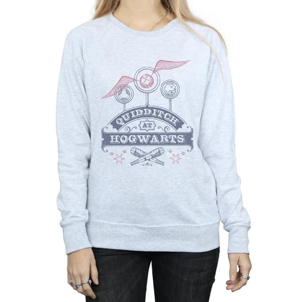 Harry Potter Womens/Ladies Quidditch At Hogwarts Sweatshirt
