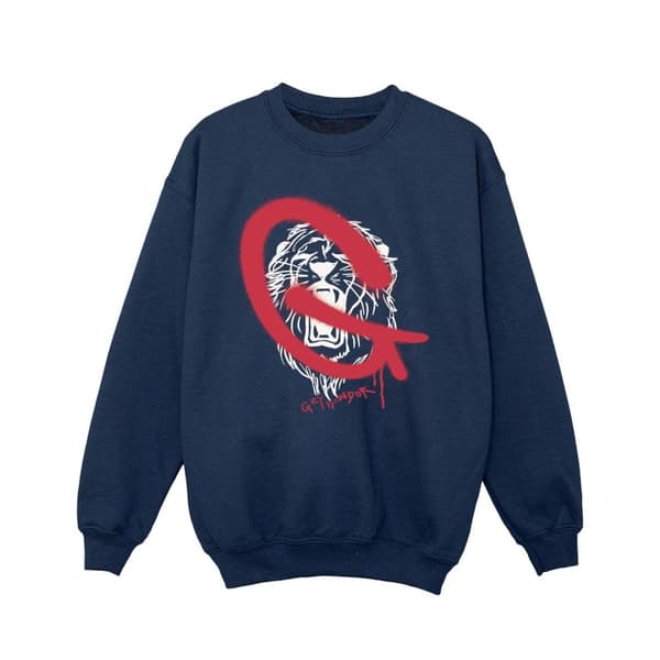Harry Potter Girls Gryffindor Pop Spray Sweatshirt
