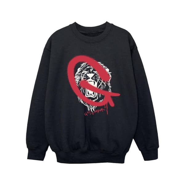 Harry Potter Girls Gryffindor Pop Spray Sweatshirt
