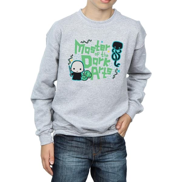 Harry Potter Boys Voldemort Dark Arts Junior Sweatshirt