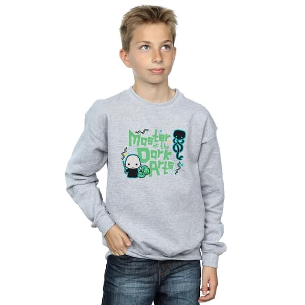 Harry Potter Boys Voldemort Dark Arts Junior Sweatshirt