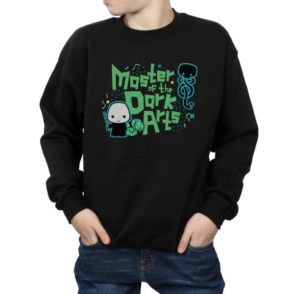 Harry Potter Boys Voldemort Dark Arts Junior Sweatshirt