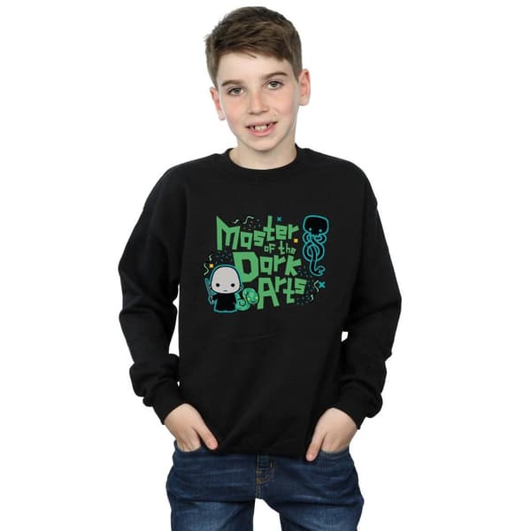 Harry Potter Boys Voldemort Dark Arts Junior Sweatshirt