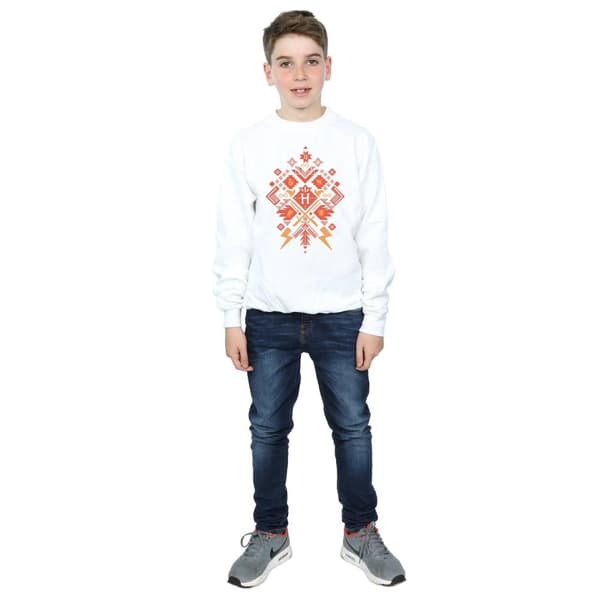 Harry Potter Boys Christmas Fair Isle Sweatshirt