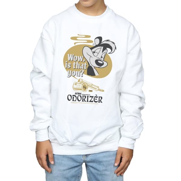 Looney Tunes Pojkar Pepe Le Pew Odorizer Sweatshirt
