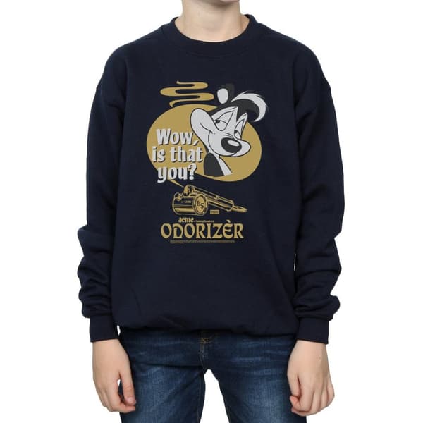 Looney Tunes Pojkar Pepe Le Pew Odorizer Sweatshirt