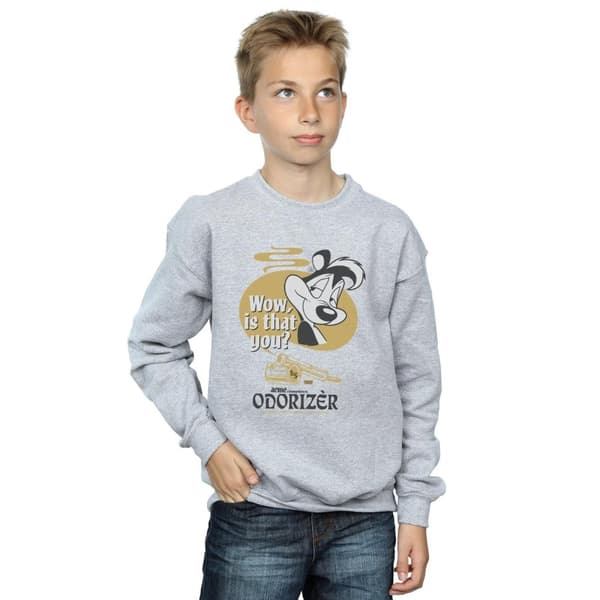 Looney Tunes Pojkar Pepe Le Pew Odorizer Sweatshirt