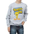 Pikkukuva 3 / 5: Looney Tunes Boys Classic Tweety Pie Sweatshirt