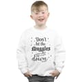 Pikkukuva 2 / 5: Harry Potter Boys Don´t Let The Muggles Sweatshirt