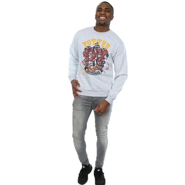 Harry Potter Mens Gryffindor Seeker Sweatshirt