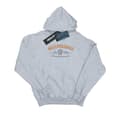 Miniatyrbillede 1 af 5: Harry Potter Womens/Ladies Gryffindor Team Quidditch Hoodie