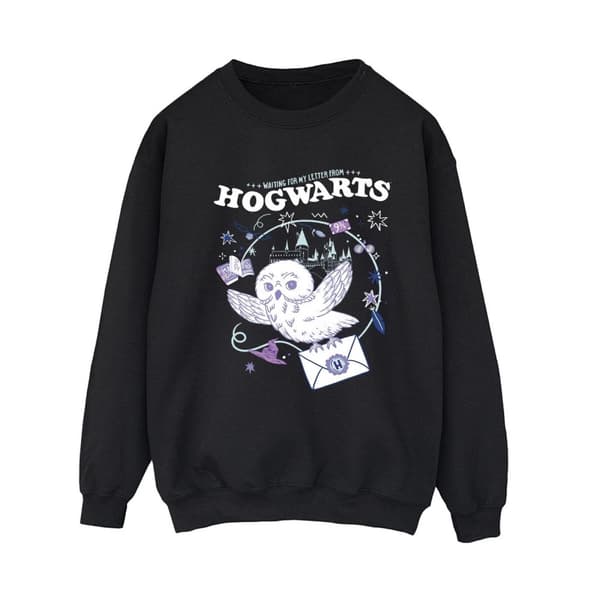 Harry Potter Womens/Ladies Owl Letter From Hogwarts Sweatshirt