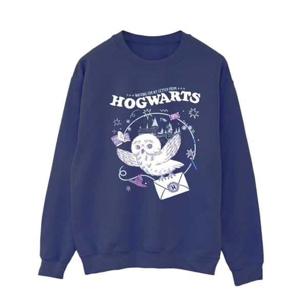 Harry Potter Womens/Ladies Owl Letter From Hogwarts Sweatshirt