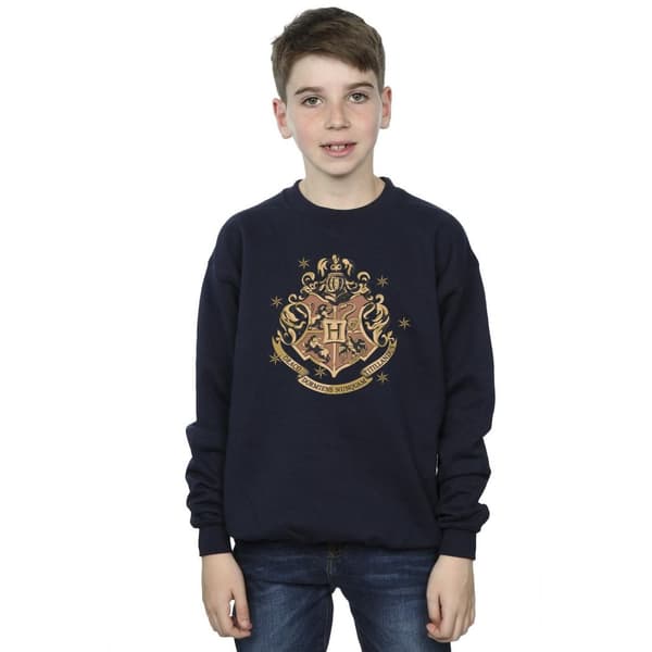 Harry Potter Boys Gold Hogwart Crest Sweatshirt