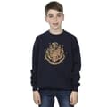 Miniatyrbilde 2 av 3: Harry Potter Boys Gold Hogwart Crest Sweatshirt