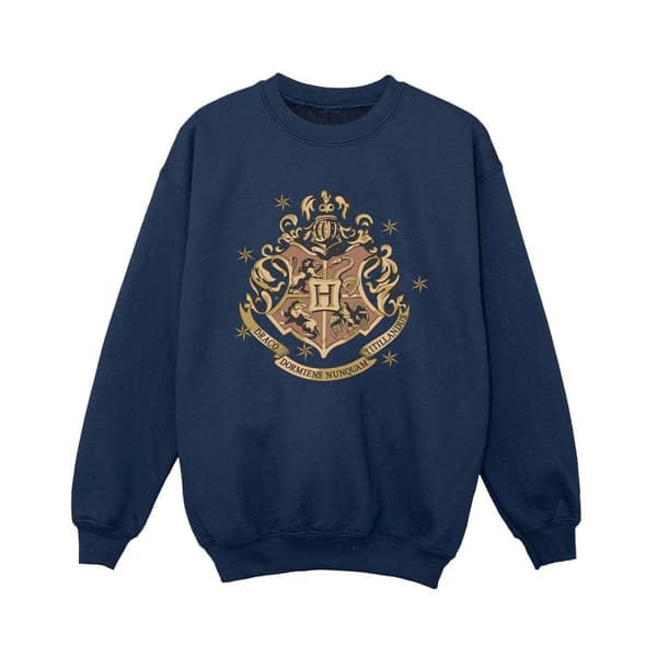 Harry Potter Boys Gold Hogwart Crest Sweatshirt