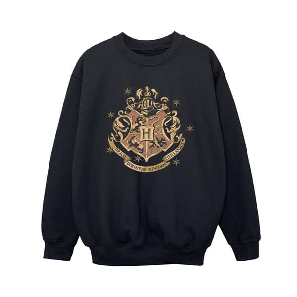 Harry Potter Boys Gold Hogwart Crest Sweatshirt