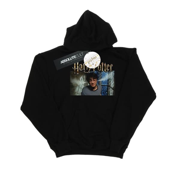 Harry Potter Mens Steam Ears Hoodie