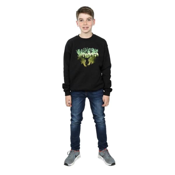 Harry Potter Boys Magical Forest Sweatshirt