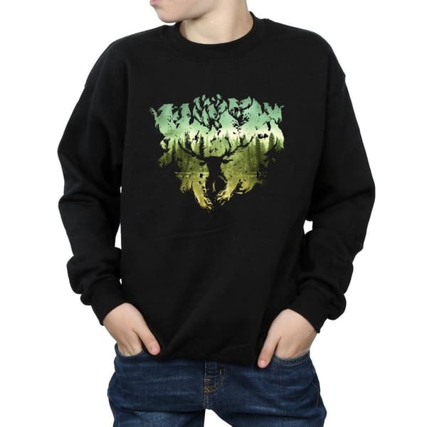 Harry Potter Boys Magical Forest Sweatshirt