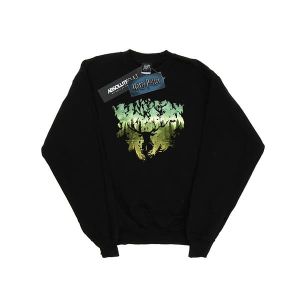 Harry Potter Boys Magical Forest Sweatshirt Black 9-11 Years