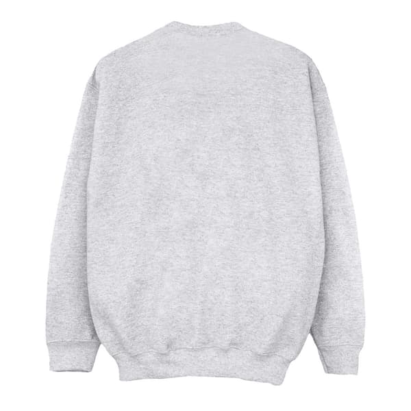 Disney Pojkar Lejonkungen Future King Sweatshirt