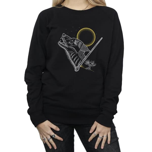 Harry Potter Womens/Ladies Werewolf Line Art Sweatshirt