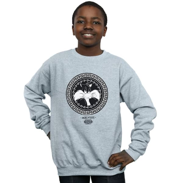 Looney Tunes Boys Sylvester Greek Circle Sweatshirt