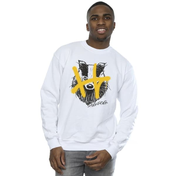 Harry Potter Mens Hufflepuff Pop Spray Sweatshirt