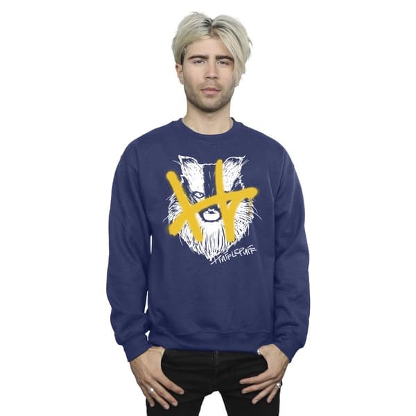 Harry Potter Hufflepuff Pop Spray-tröja för herrar