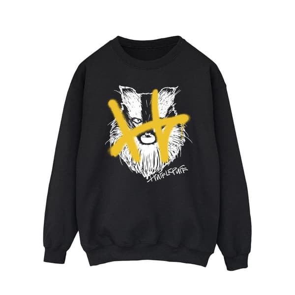 Harry Potter Mens Hufflepuff Pop Spray Sweatshirt