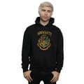 Miniatyrbillede 2 af 3: Harry Potter Mens Hogwarts Varsity Hoodie
