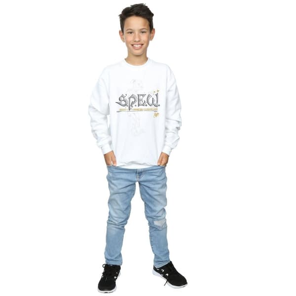 Harry Potter Boys Dobby Elfish Welfare Sweatshirt