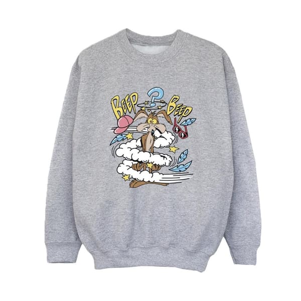 Looney Tunes Boys Coyote Daze Sweatshirt