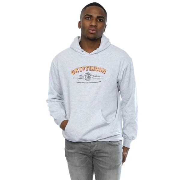 Harry Potter Mens Gryffindor Team Quidditch Hoodie