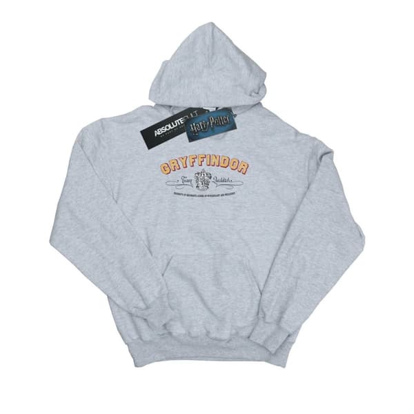 Harry Potter Mens Gryffindor Team Quidditch Hoodie