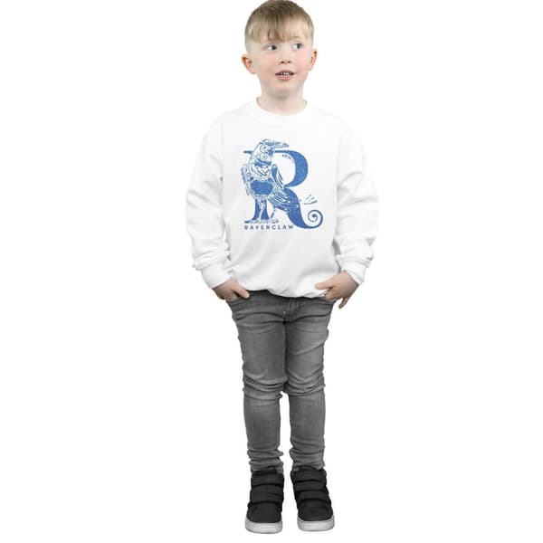 Harry Potter Boys Ravenclaw Glitter Sweatshirt