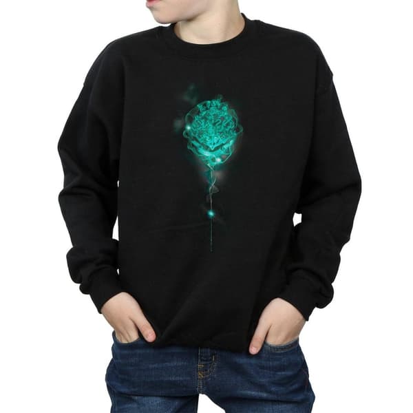 Harry Potter Pojkar Hogwarts Crest Mist Sweatshirt